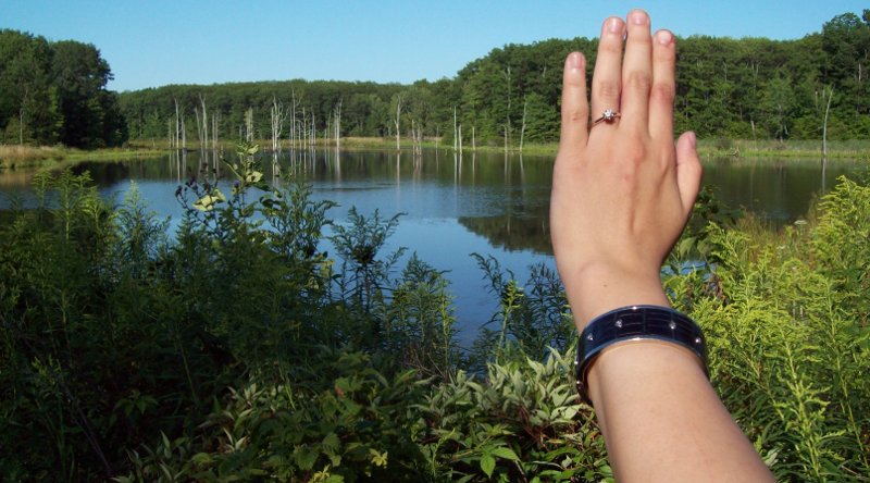 dead trees frame the ring and oh yeah there's a pond, too